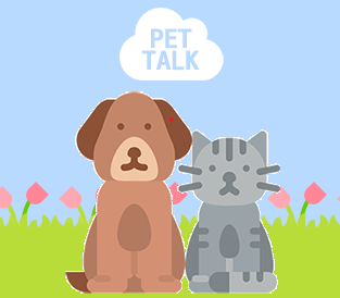 Pet Talk